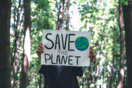 Les politiques de sauvegarde environnementale et sociale de la banque mondiale